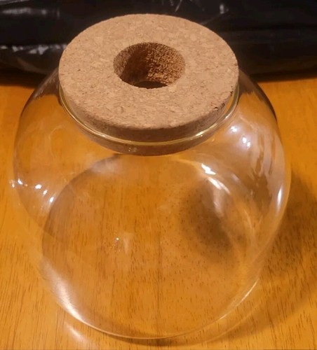 Glass terrarium container - terrarium,